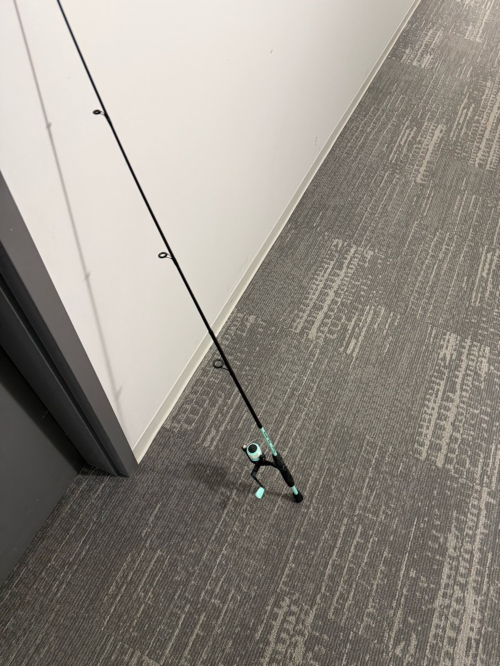 Baitcasting Fishing Rod and Reel - Mint/Black
